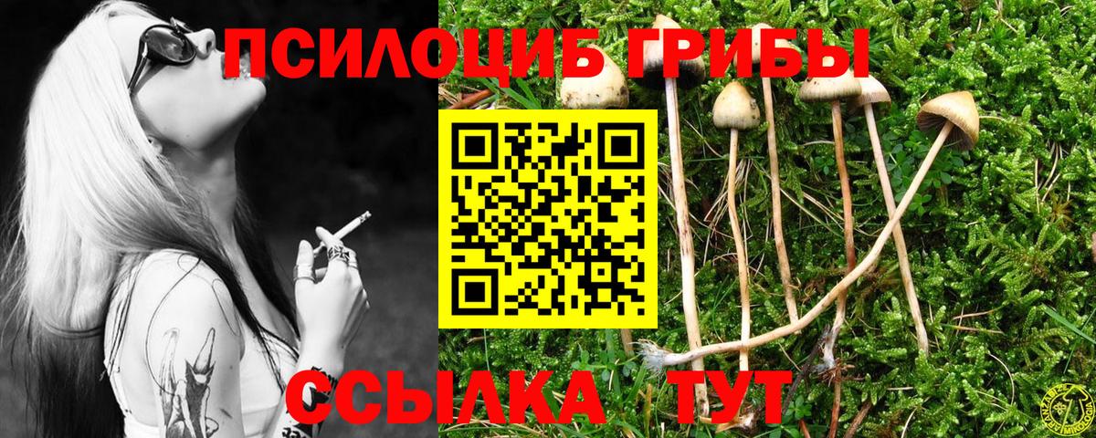 Галлюциногенные грибы MAGIC MUSHROOMS  Вход с VPN  Псилоцибиновые грибы Cubensis  Калининград 