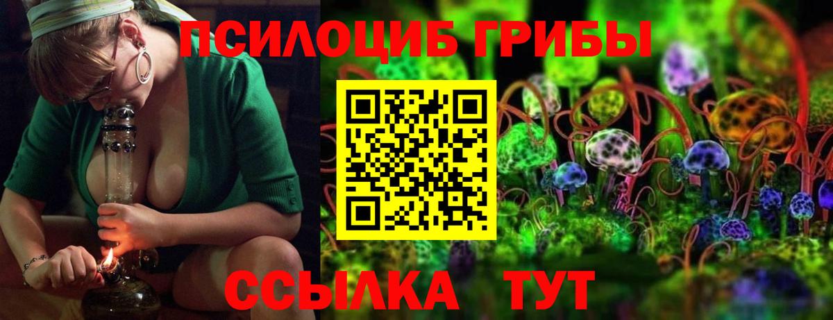 Псилоцибиновые грибы MAGIC MUSHROOMS Калининград